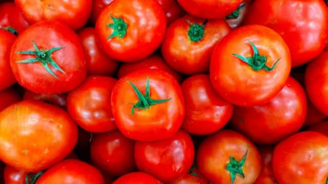 Como armazenar tomate