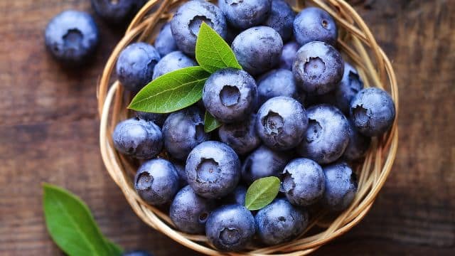 Como armazenar mirtilo blueberry
